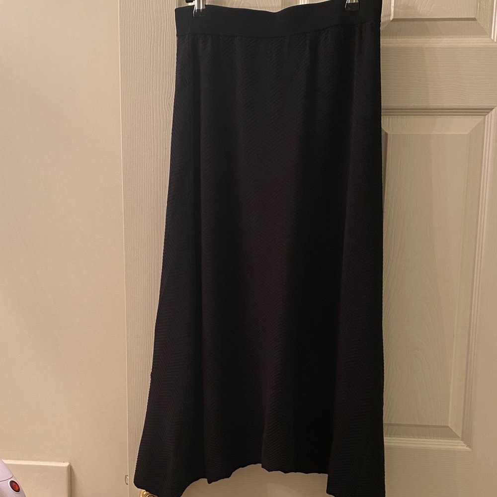 Aleeza Paris Chic Black A-Line Women's Skirt